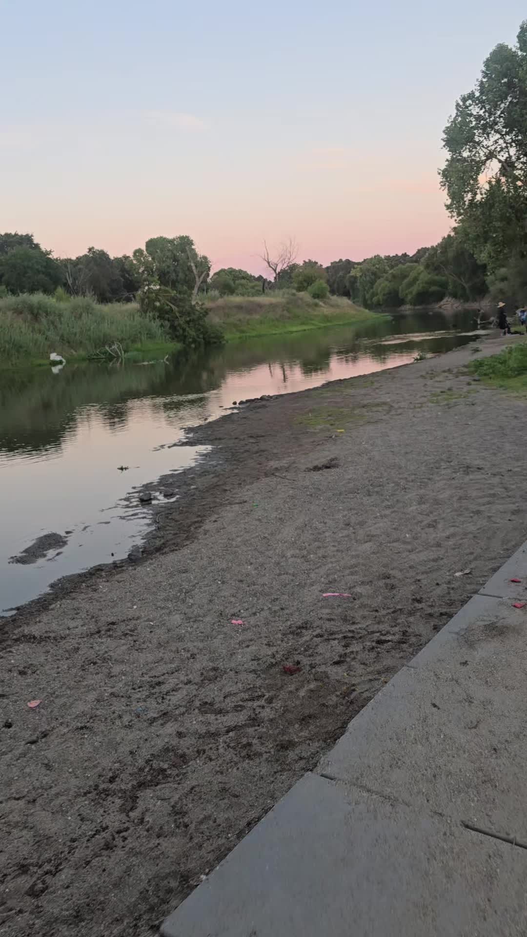 @ritarodriguez662