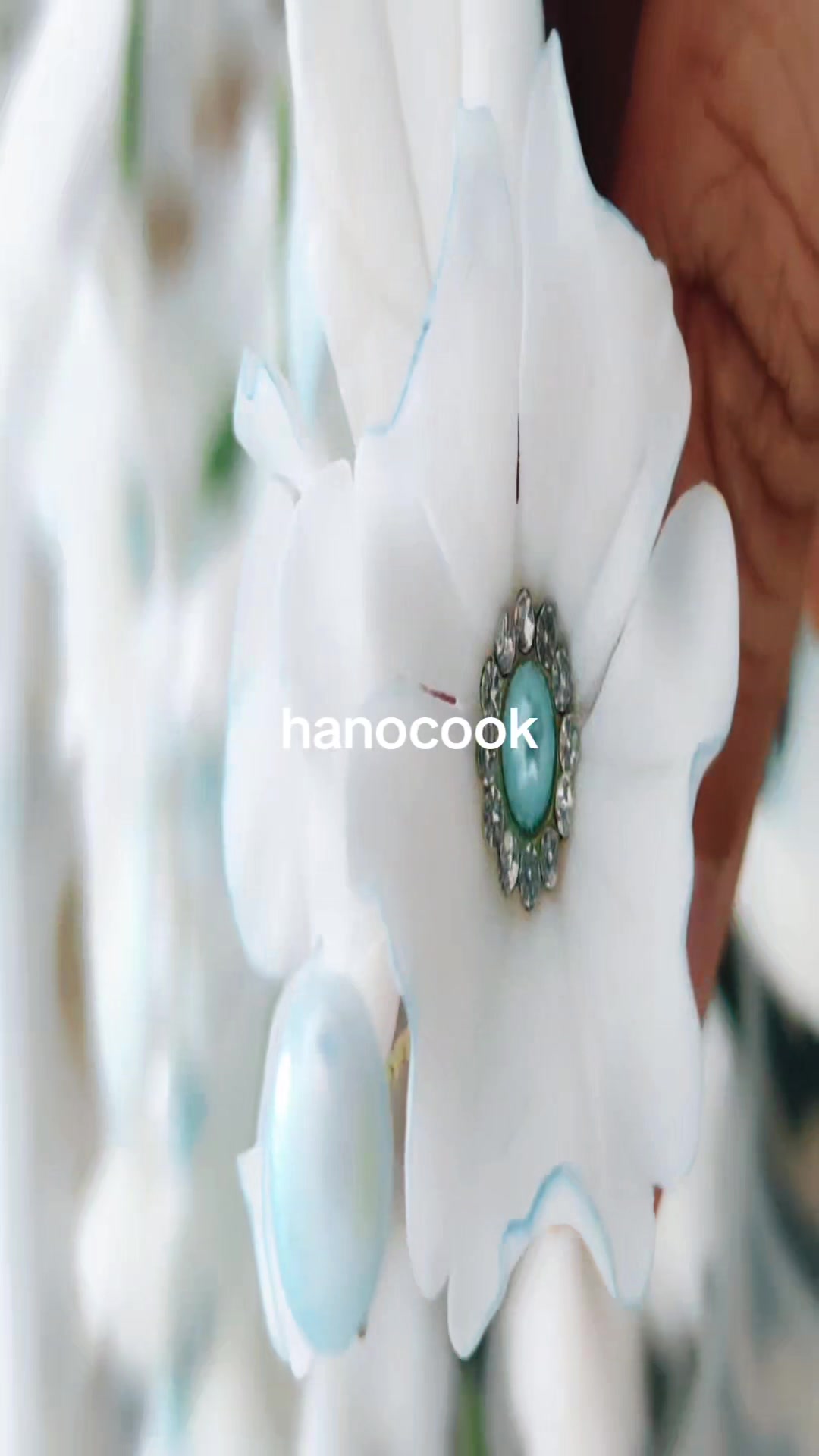 @hanocook
