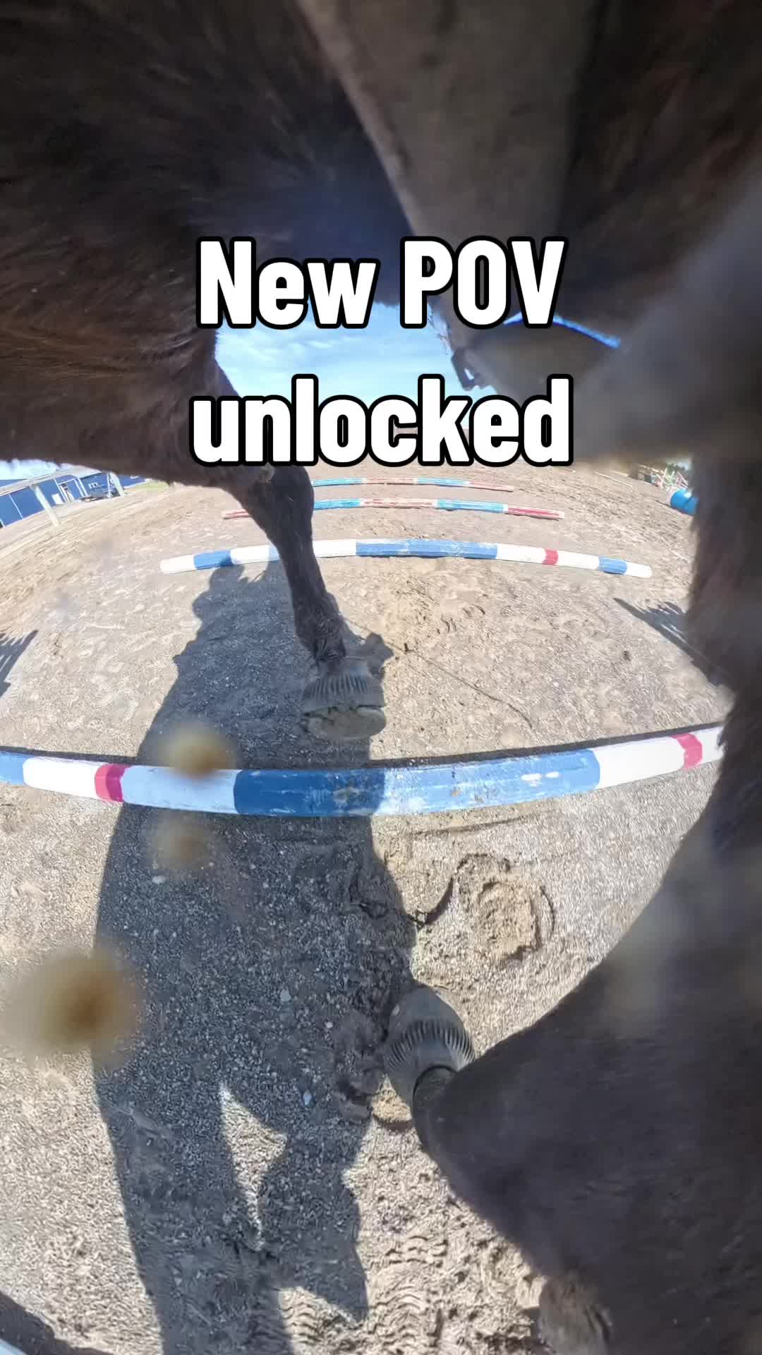 @Bennett Sisters Eventing