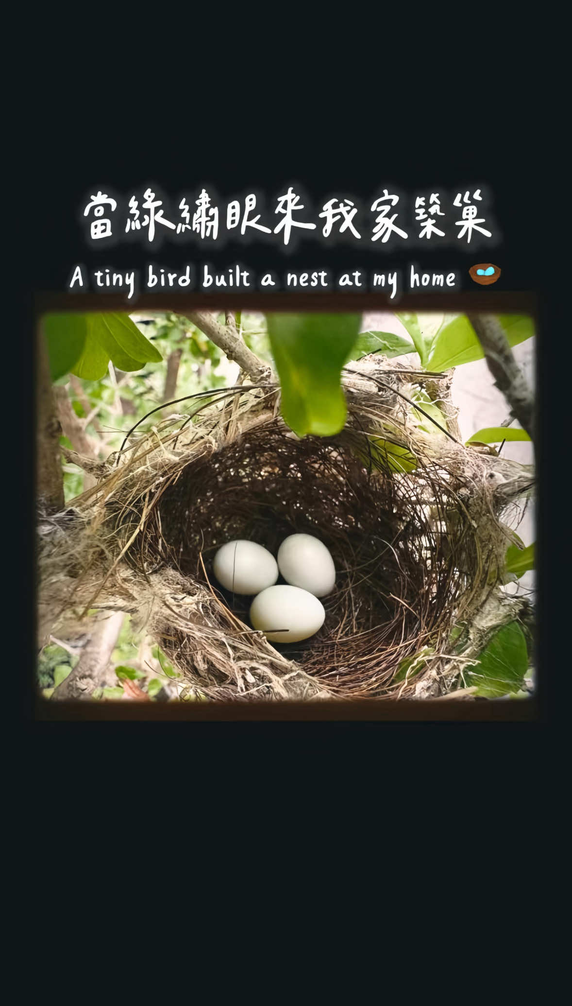 @𝗝𝗼𝗿𝗱𝗮𝗻の吃貨日記 全台跑透透✨