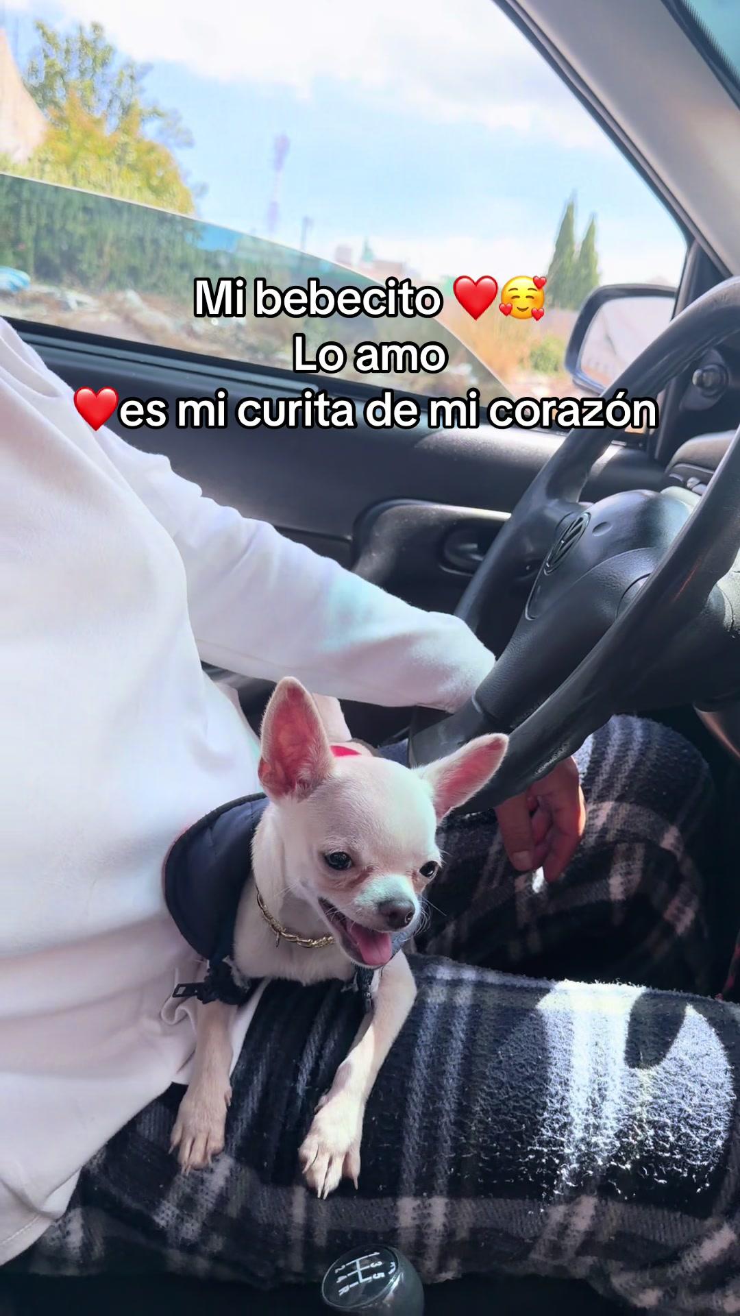 @Adriana Montero Flores