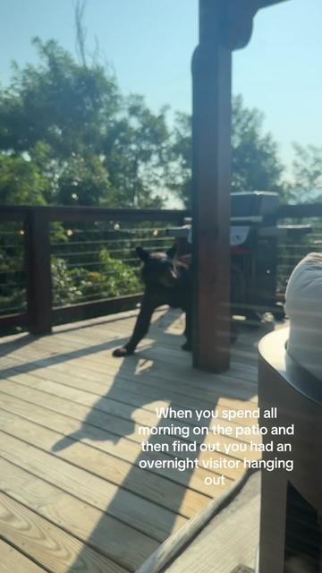 @sara