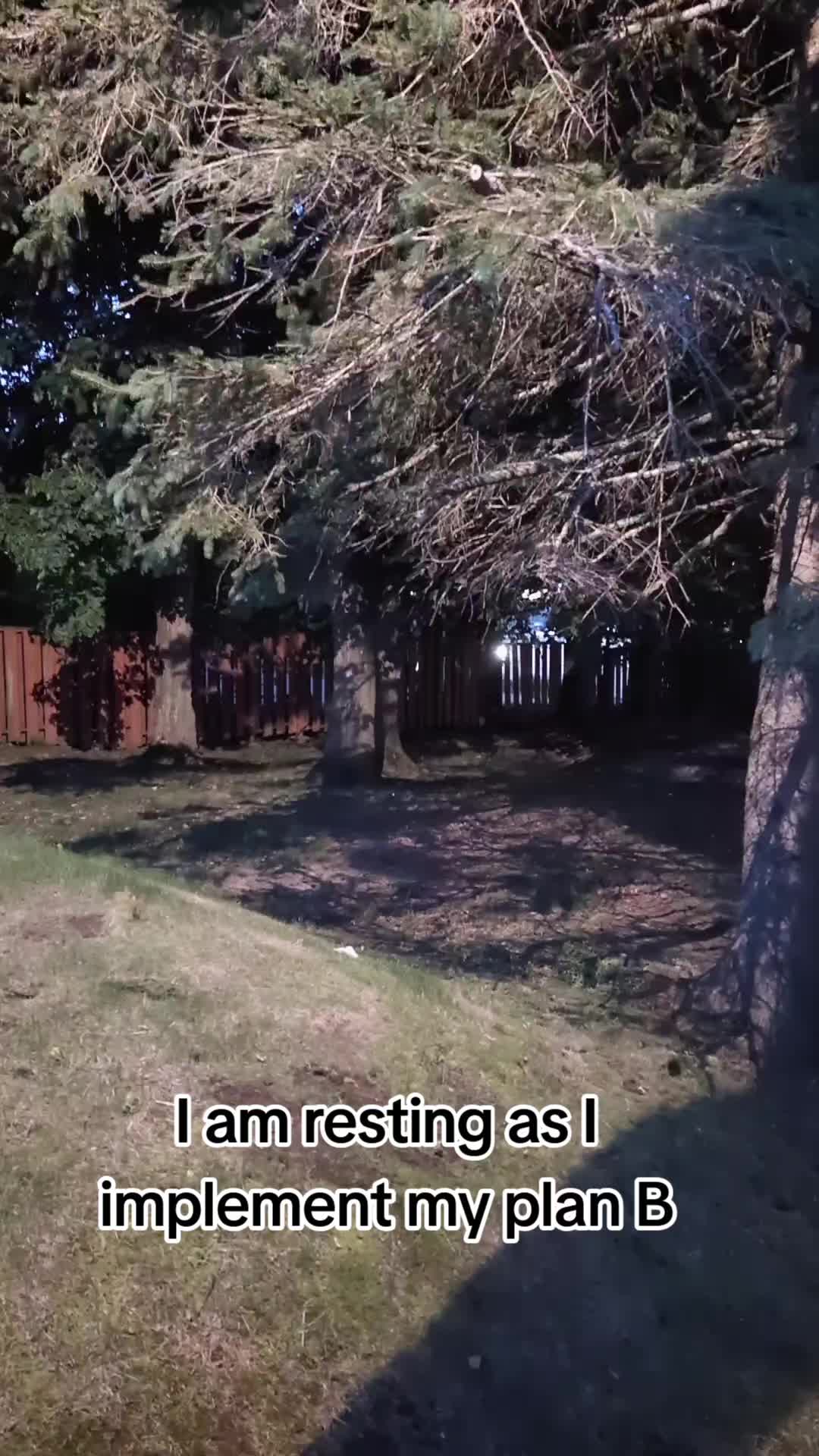 @Lee