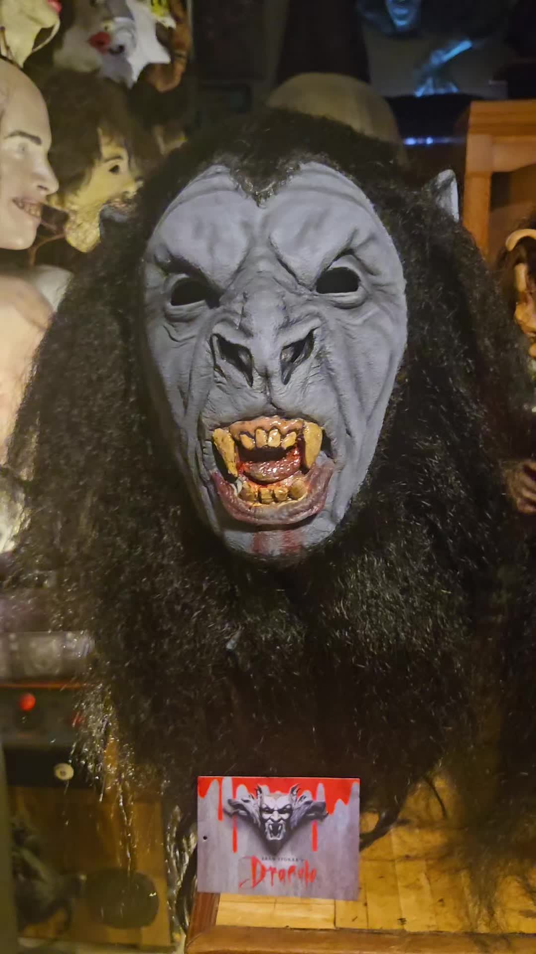 @thedeadnextdoor81