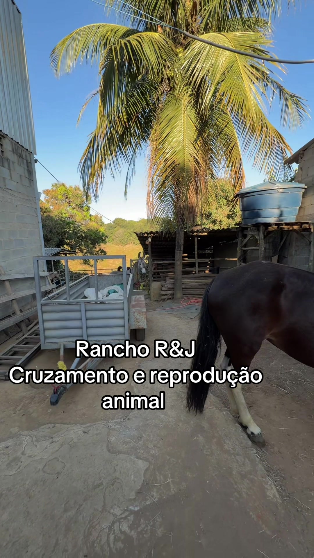 @claudenir Pereira Pinto