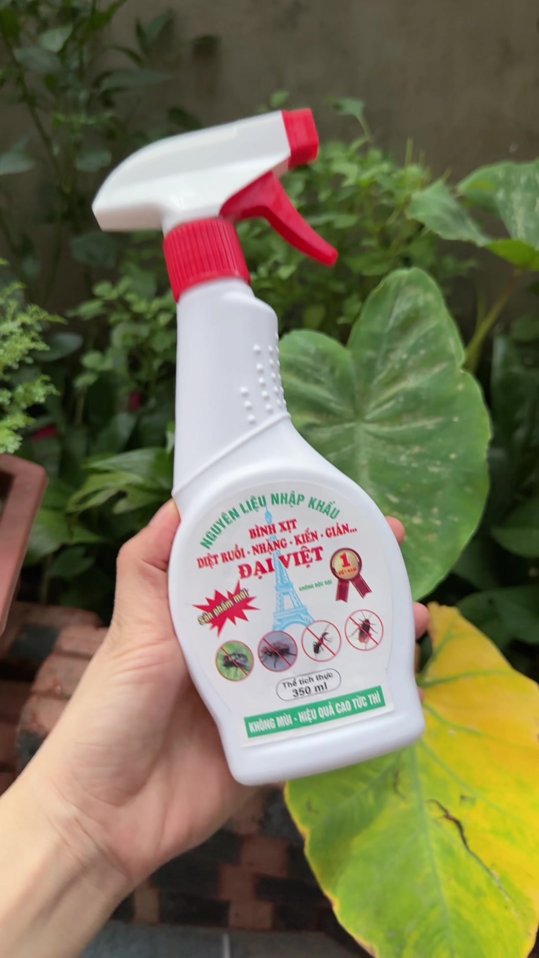 @Ngọc Lan