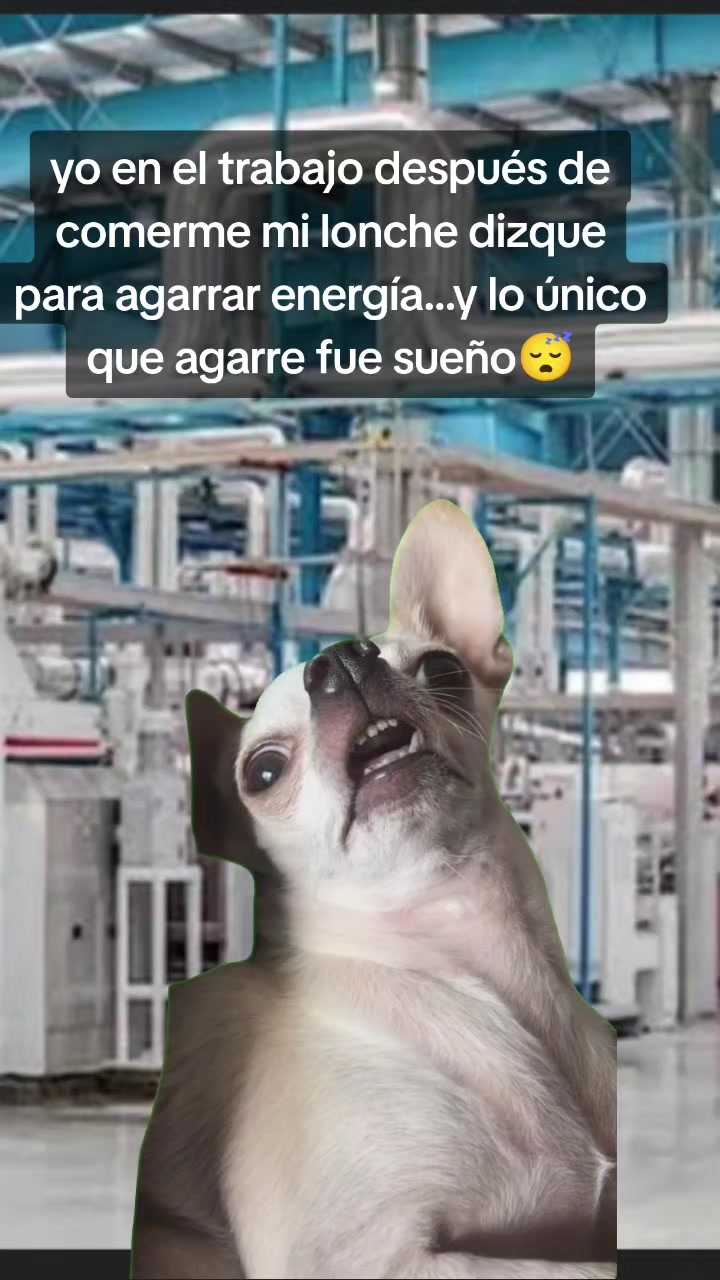 @Ania Yañez