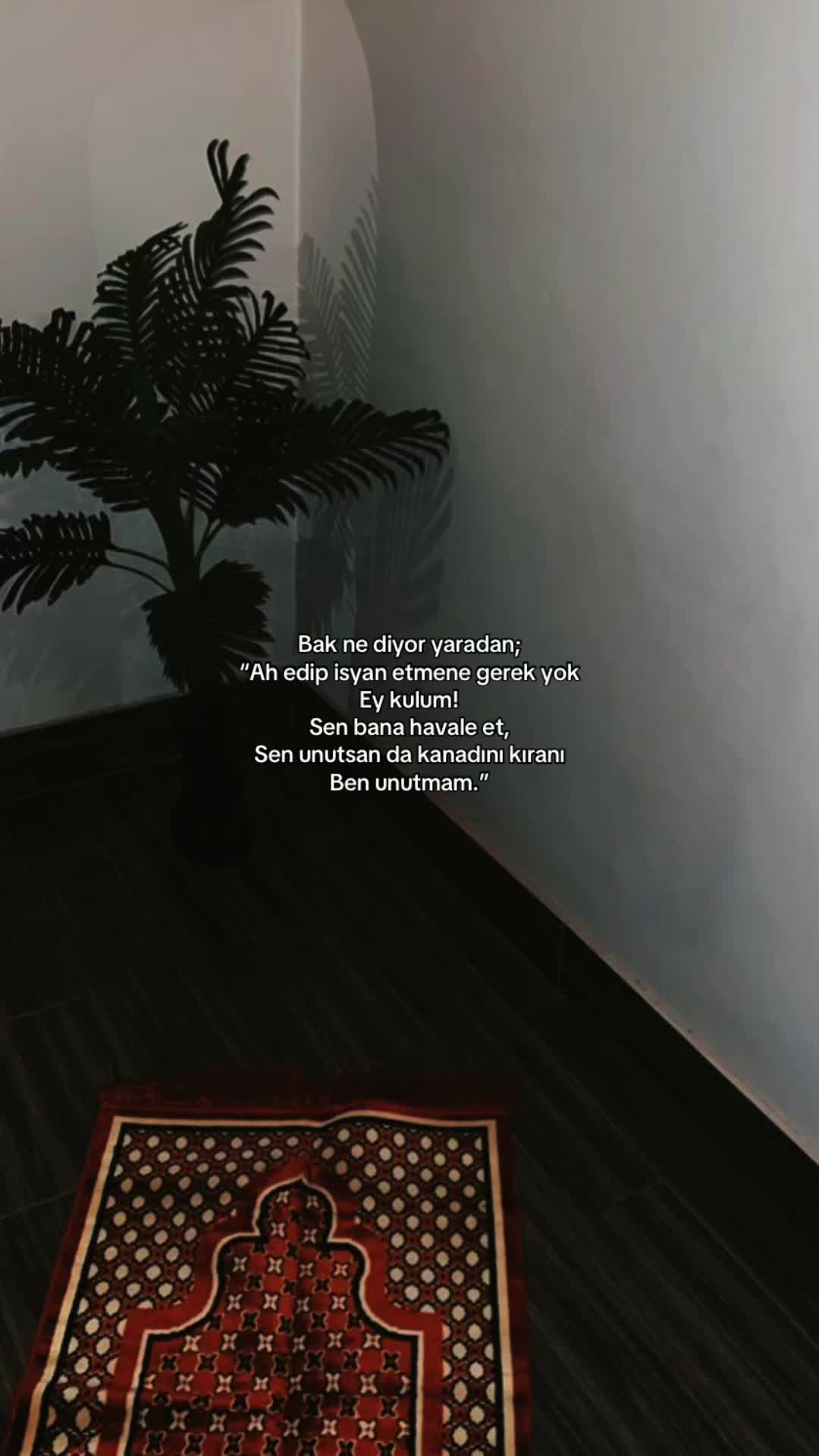 @𝓜𝓮𝓻𝔂𝓮𝓶♡