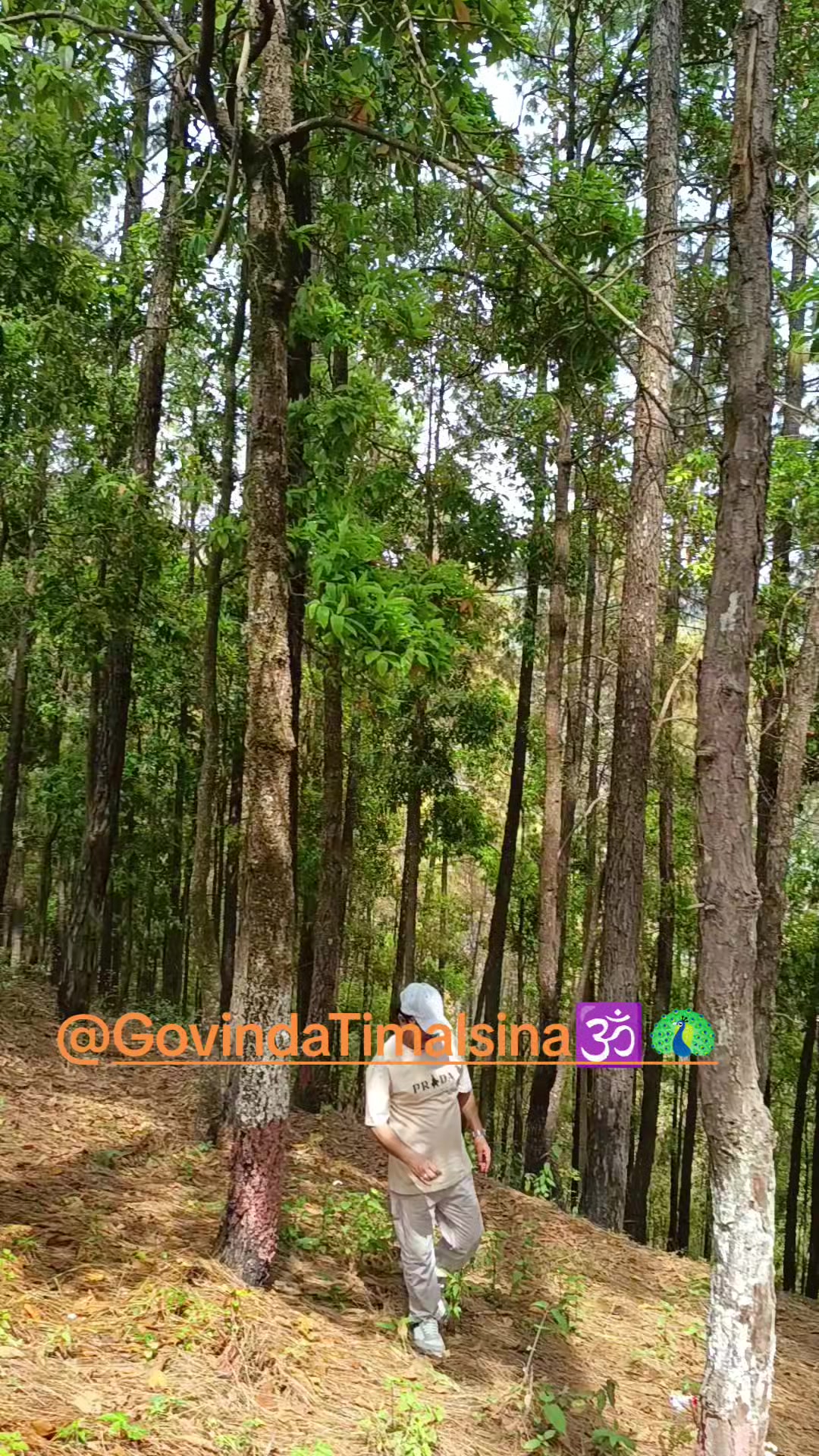 @Govinda Timalsina🕉🦚