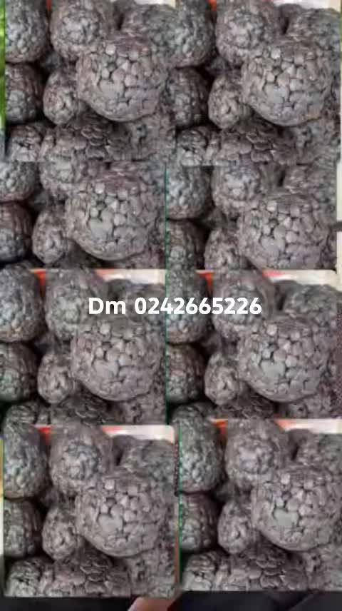 @B❤️h&hearts;️aby las😍t