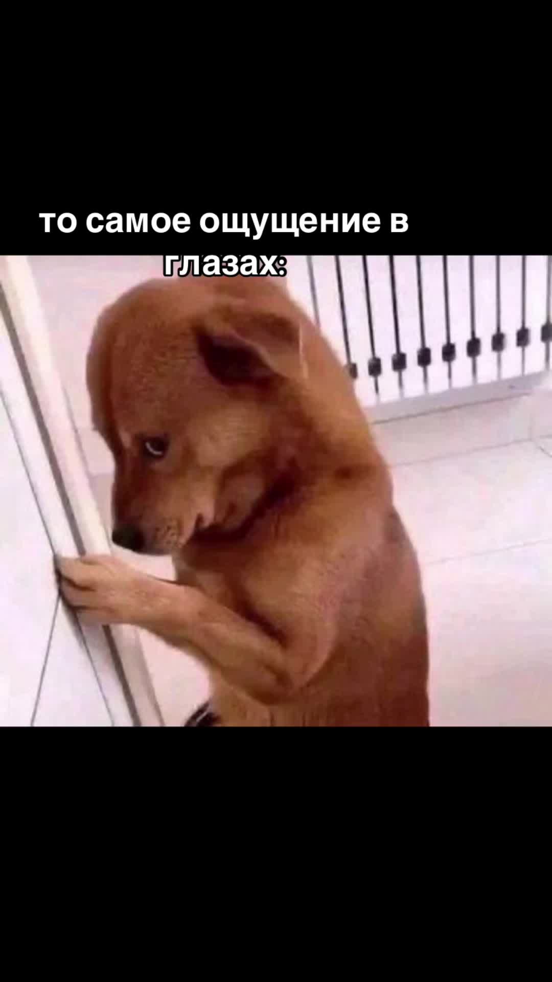 @$терва