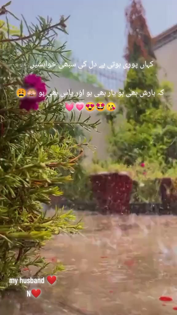 @SJ🦋