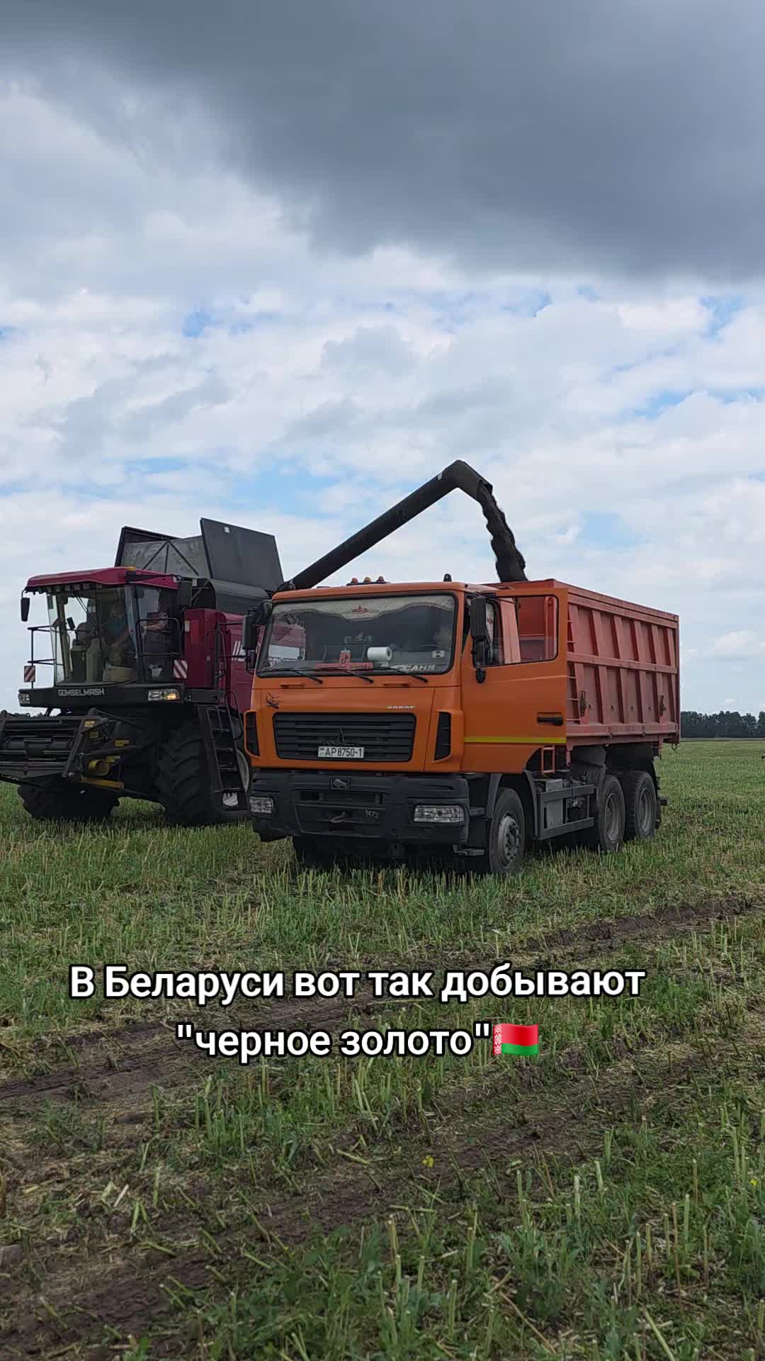 @vkobrine.by