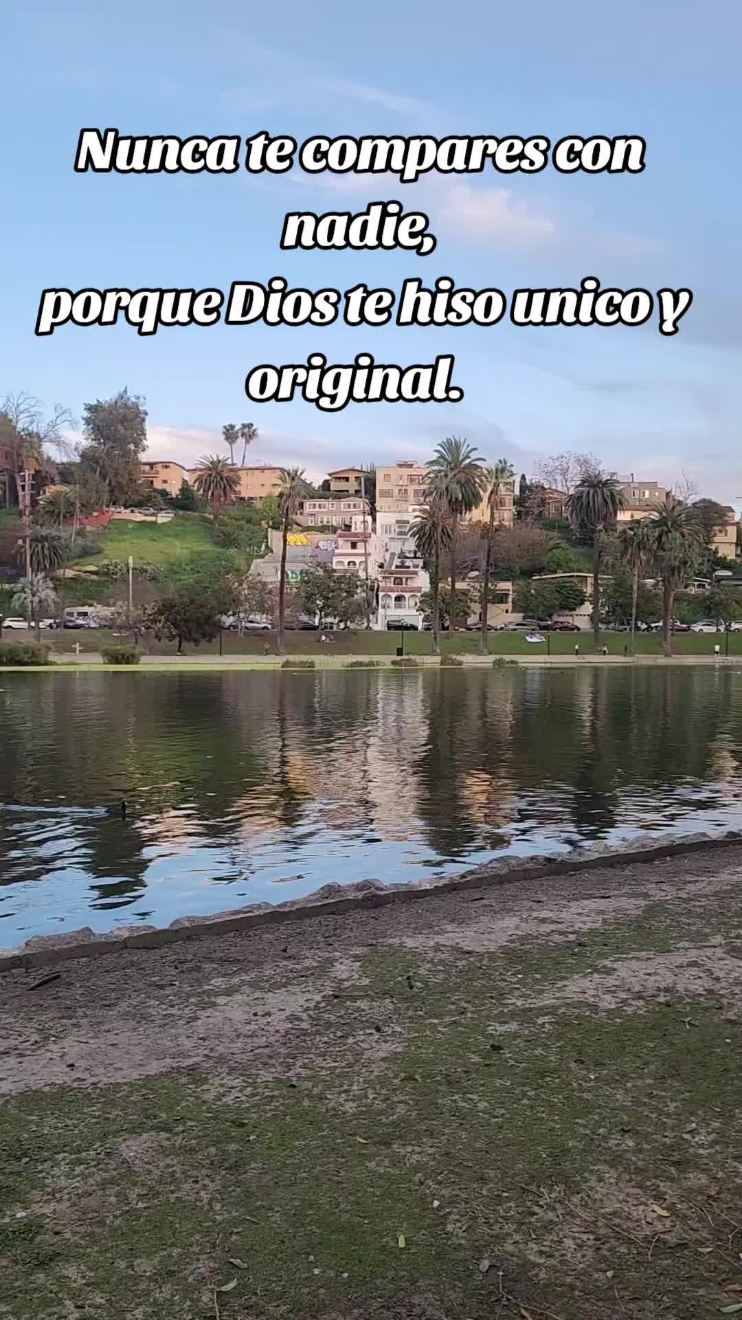 @Tebalopez13