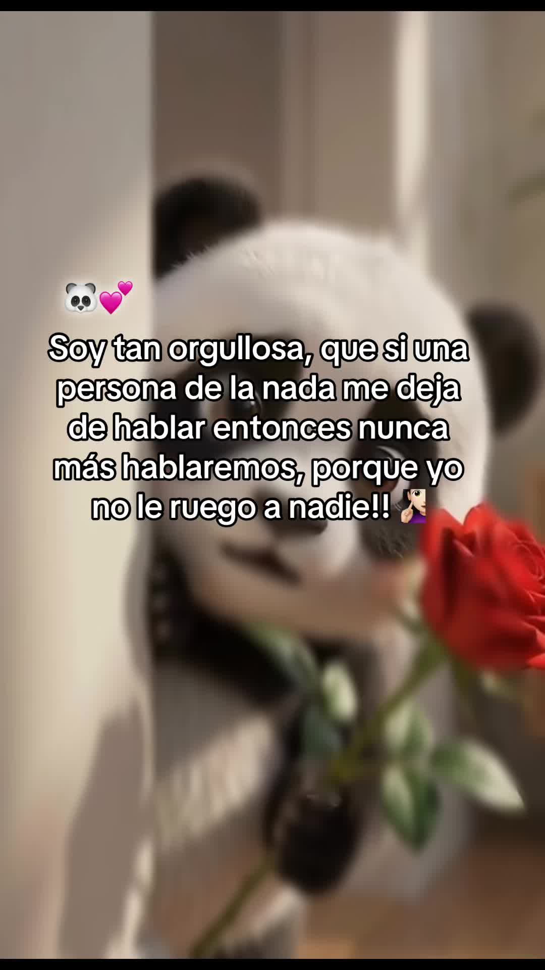 @💕☆𝐒𝐎𝐅𝐈𝐀☆💕