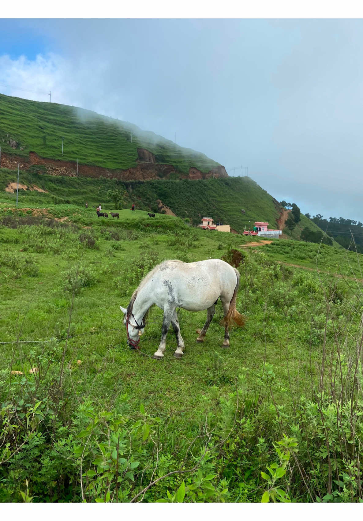 @Kajal Banshi