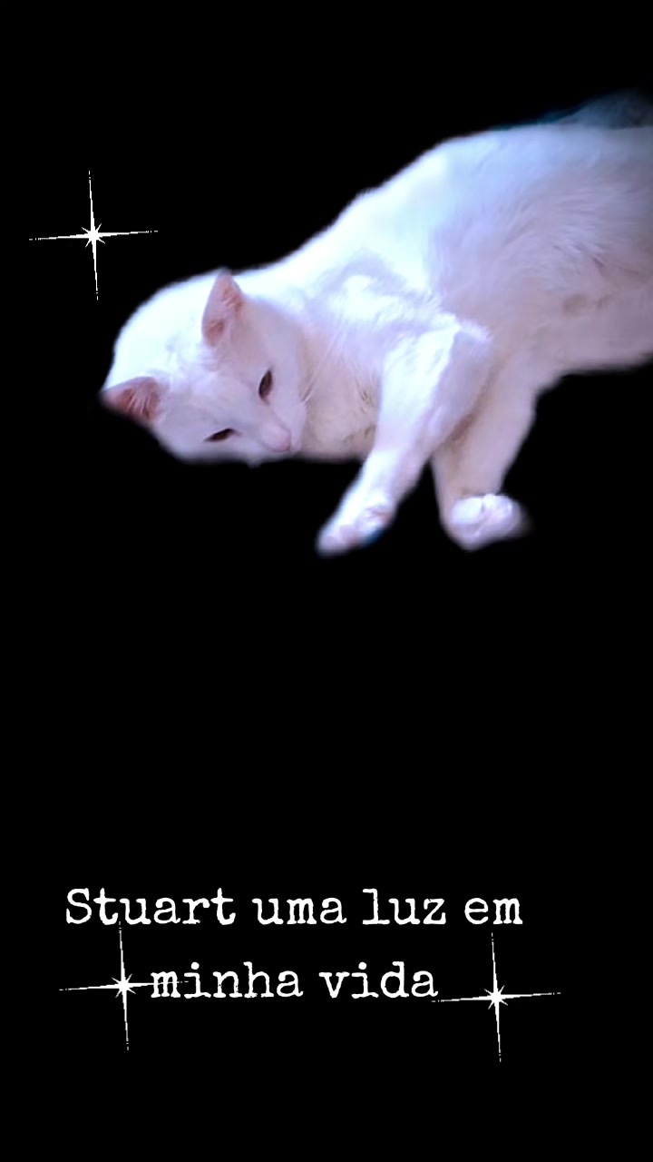 @MagdaAmoAnimais😾🐶🕊🐅🐍🐢🦜