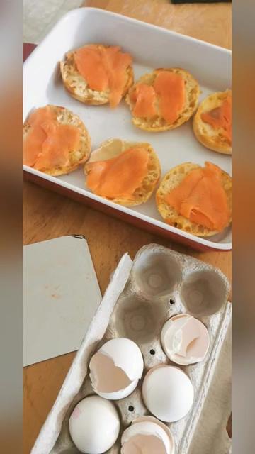 @๐ต๐๐๐๐ ๐ต๐๐๐ ๐ต๐๐๐๐