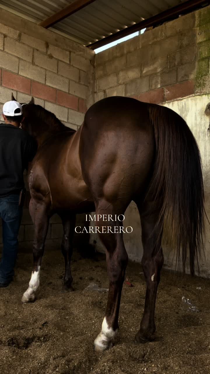 @Imperio carrerero