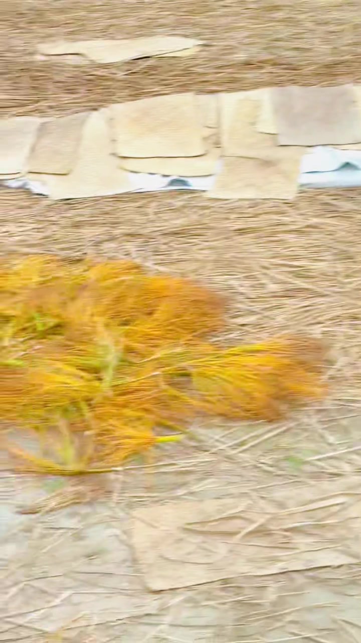 @🔥خان زادہ عرفان🔥