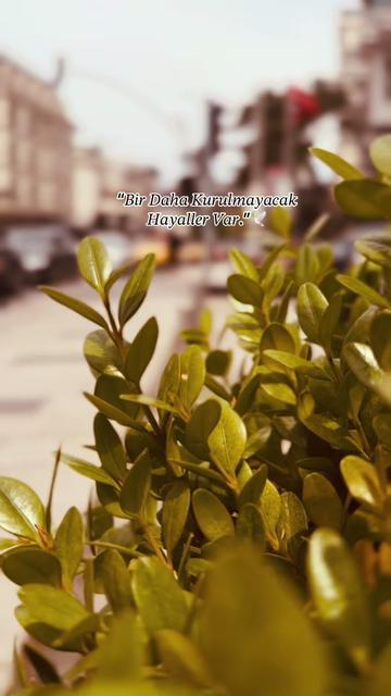 @✪Storilik.21✪
