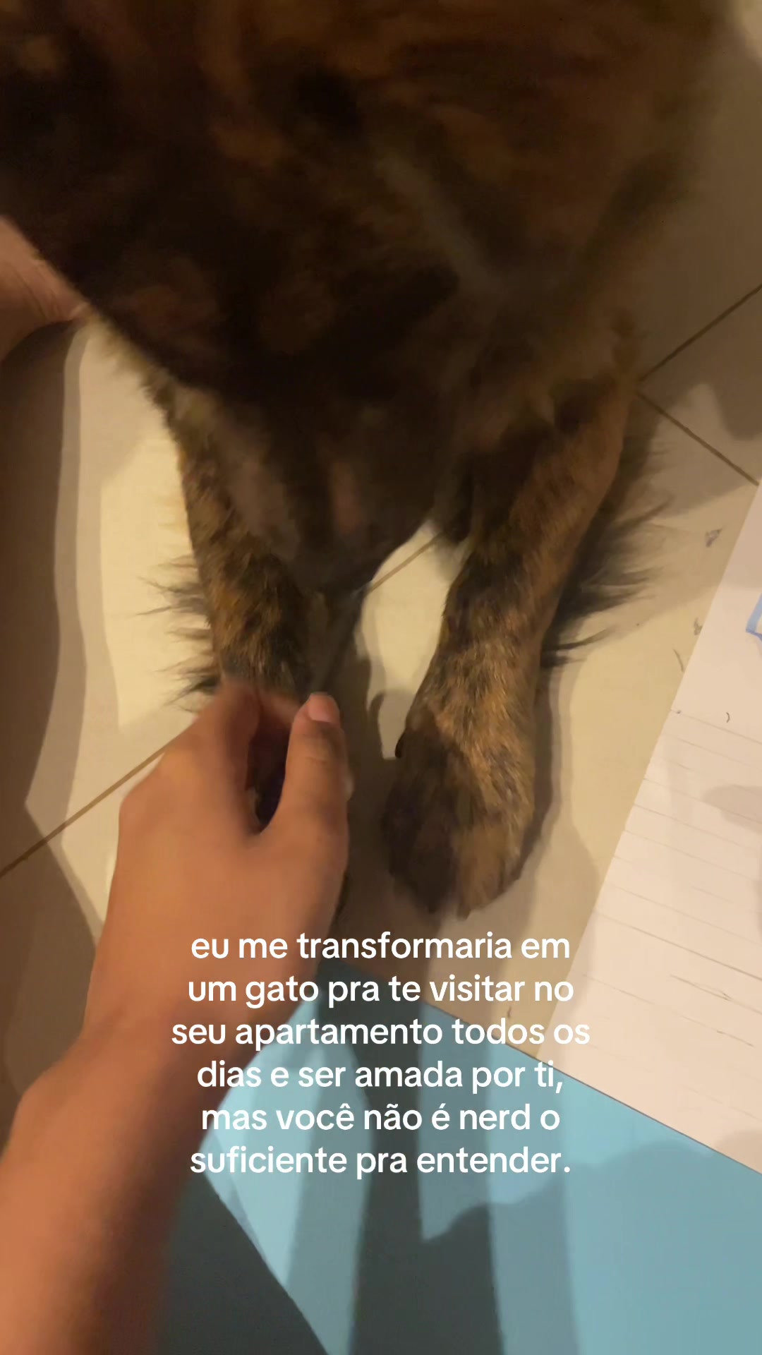 @annavoig