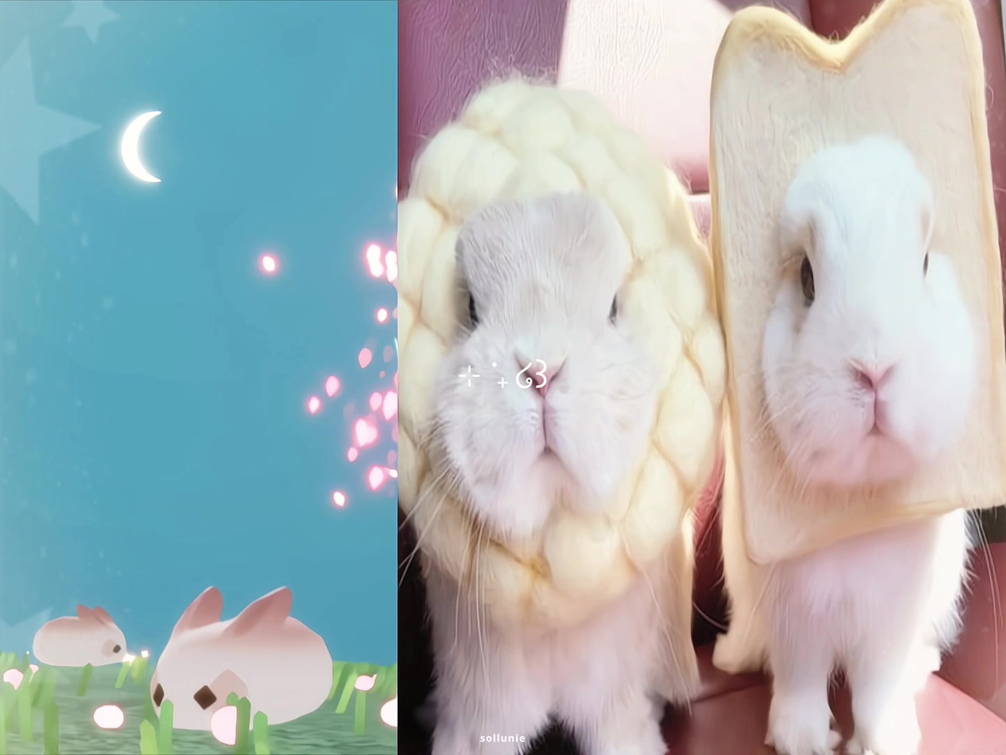 @๐ ๐๐