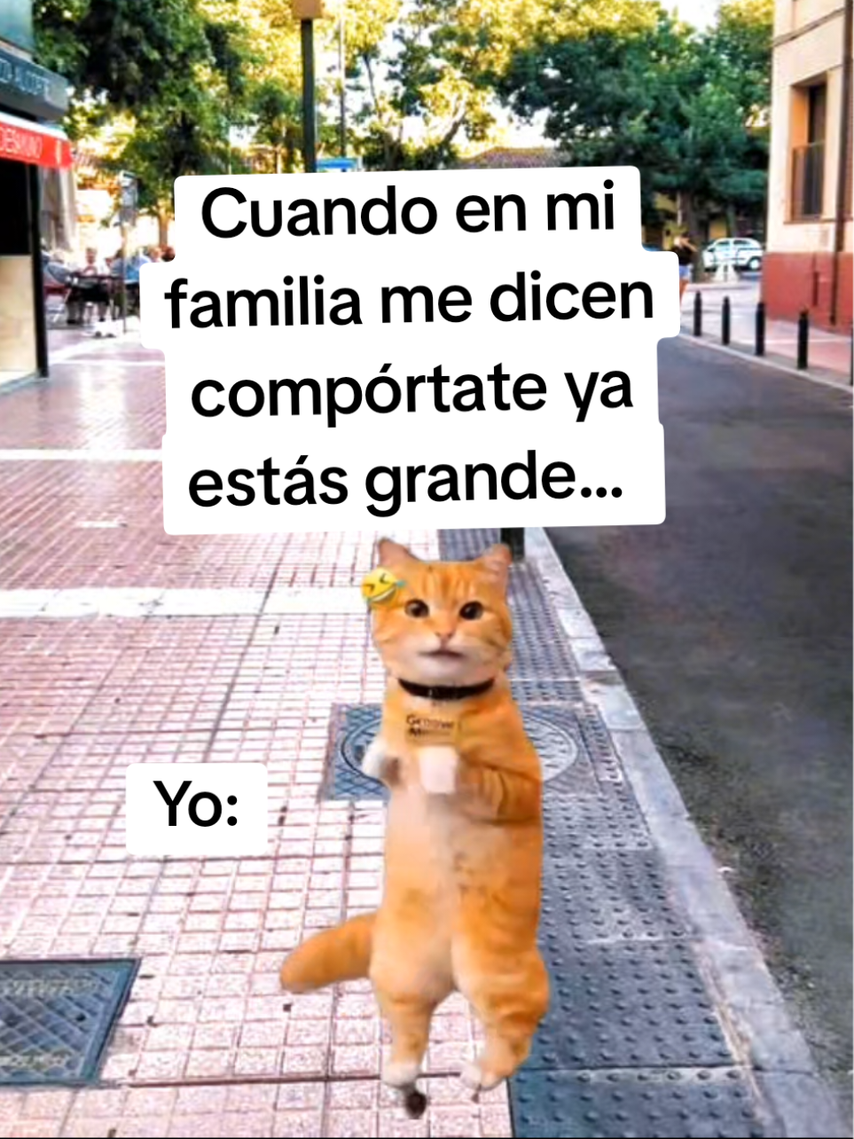 @𝐌𝐚𝐫𝐲