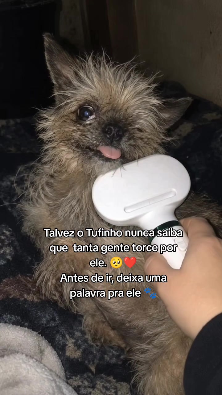 @Patinhas de rua