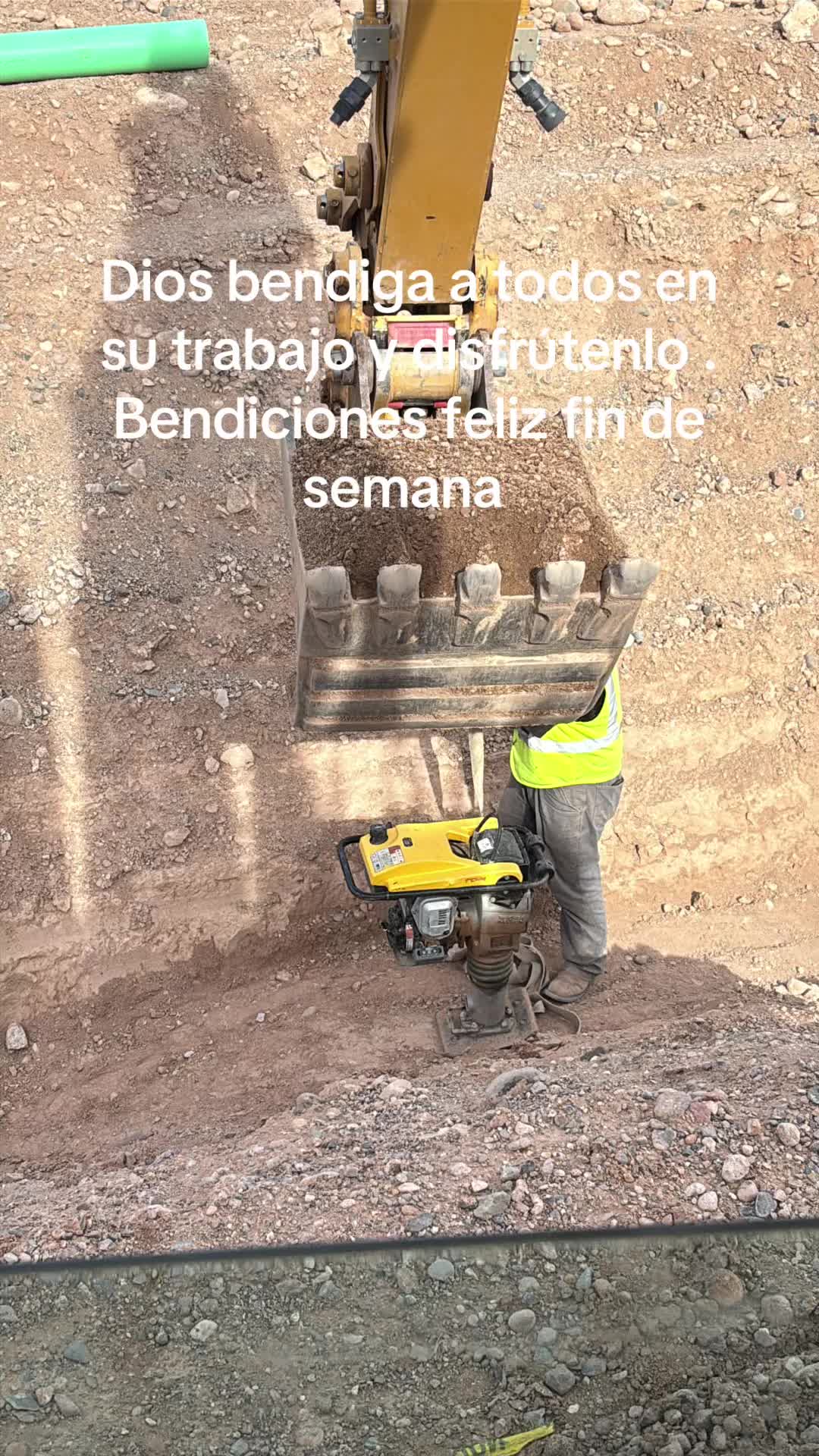 @Cristobal lince