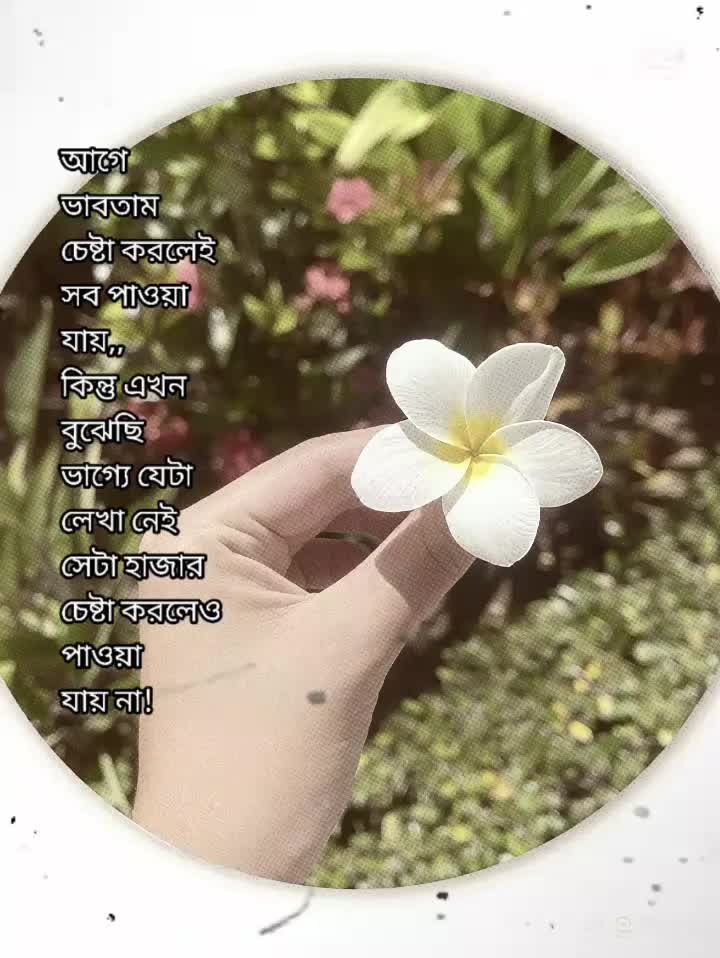 @🌸Apsana🌸p_