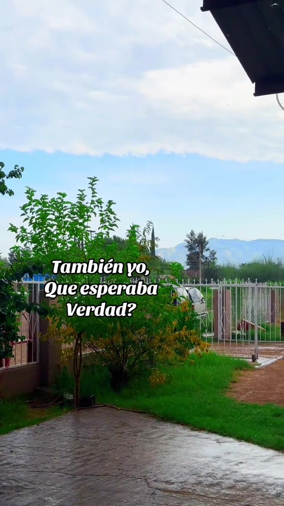 @LaMaetaBrenda👩🏻🏫🅱️