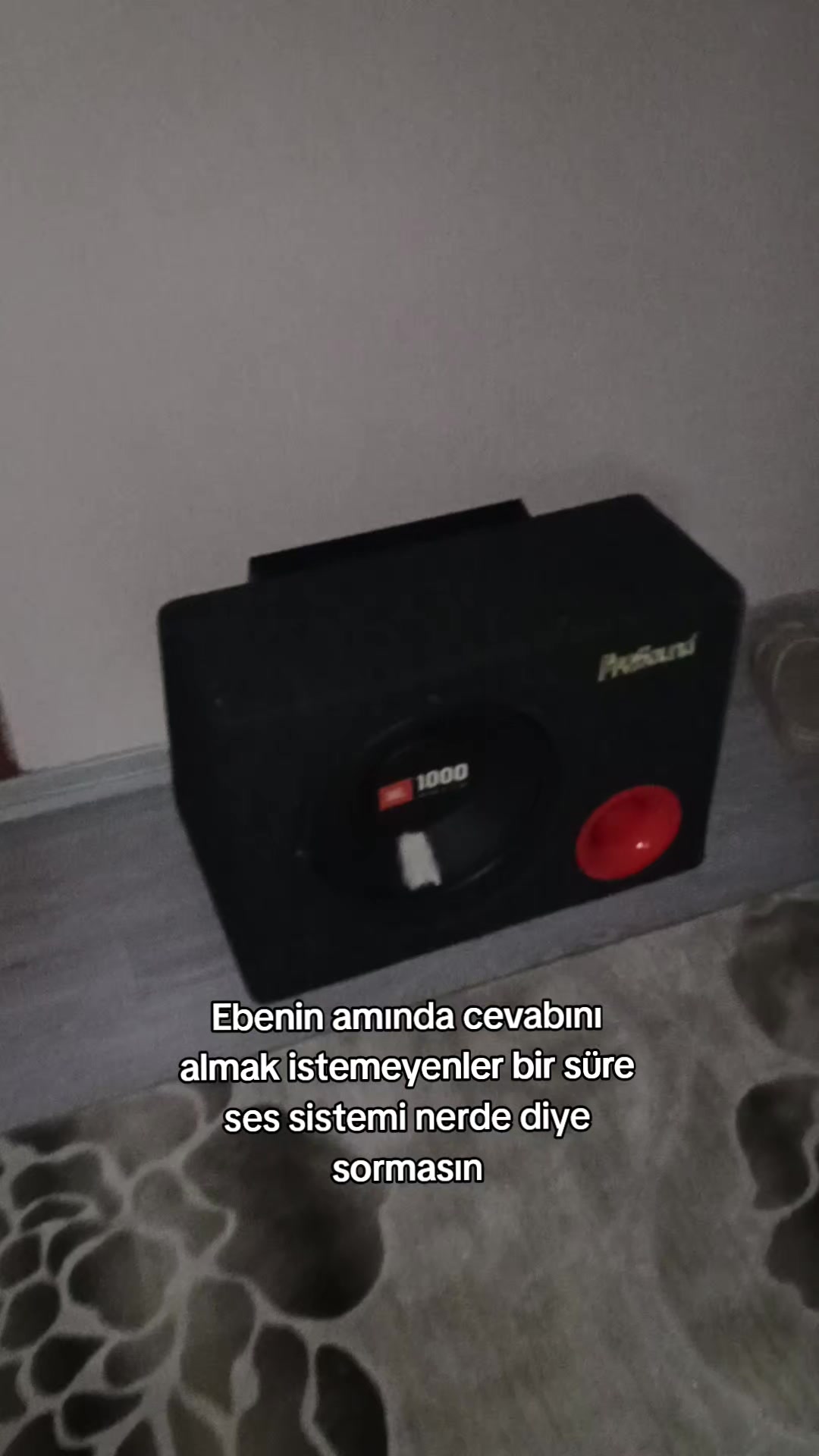 @55ANM301