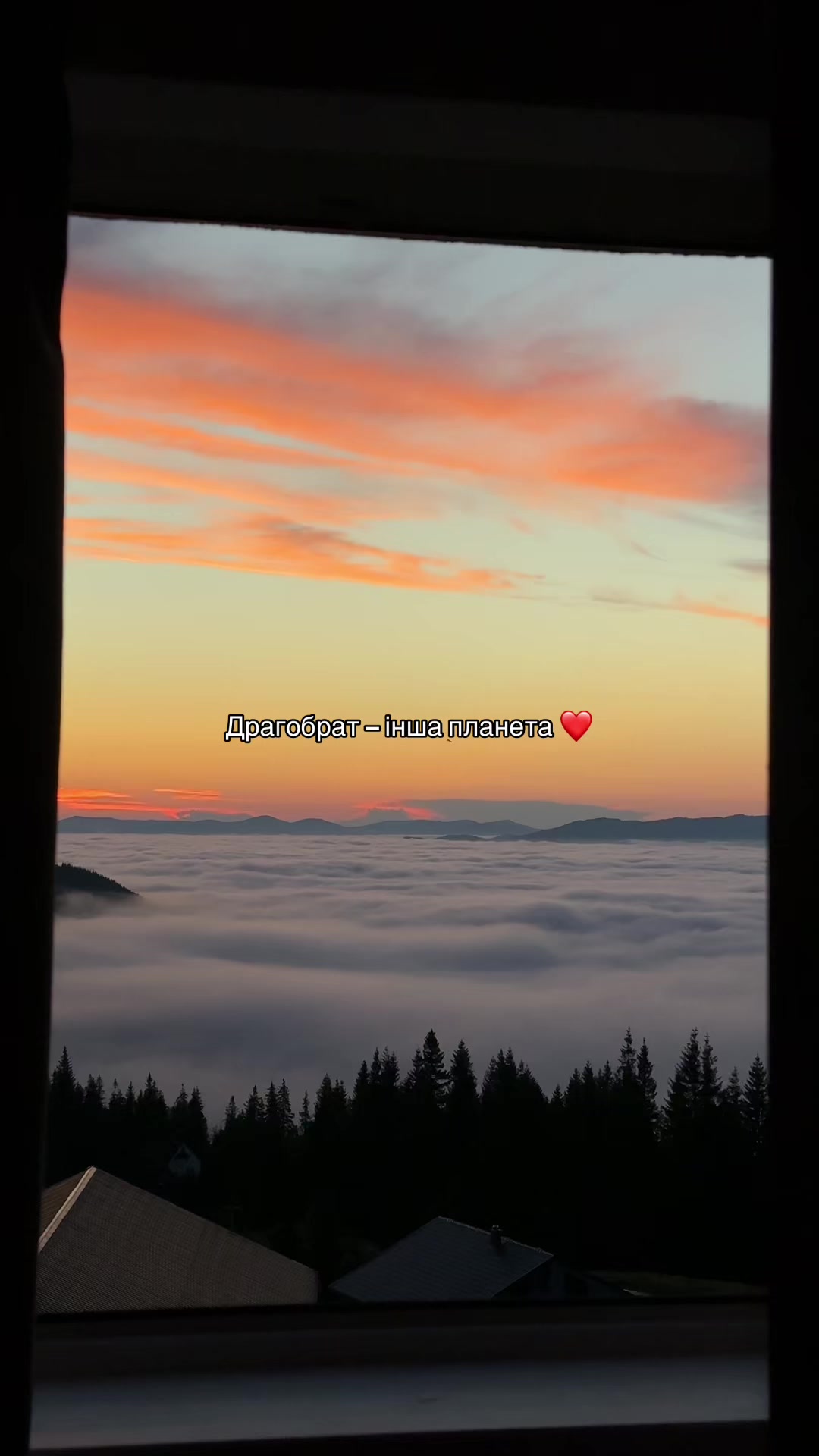 @Go to Dragobrat⚡️
