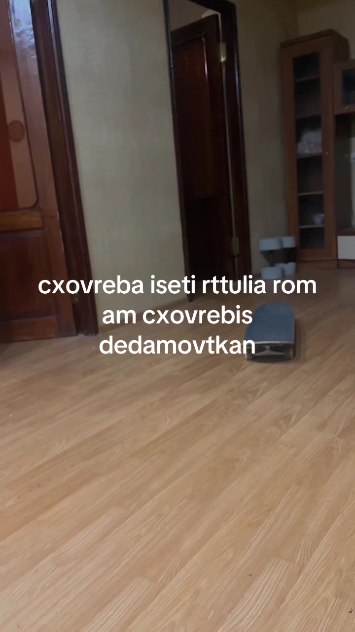 @Colorful punk