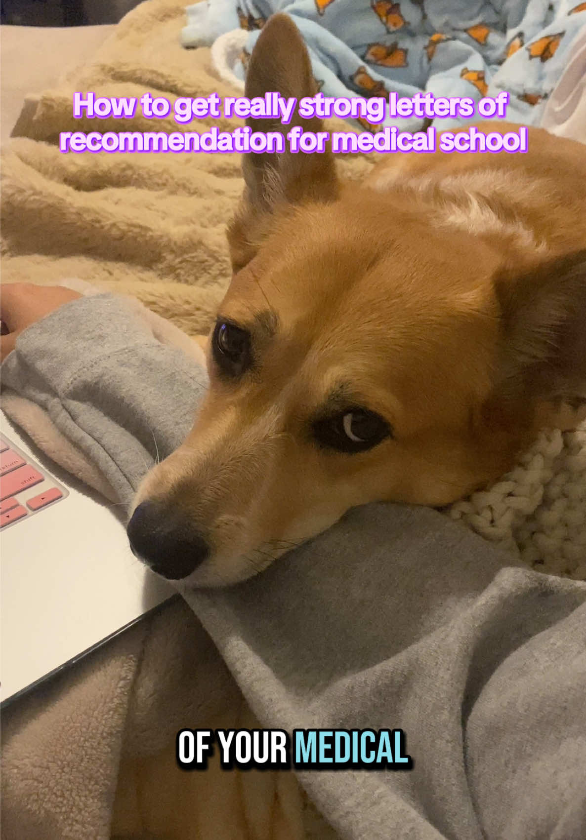 @MS4 Med Student (Premed Tips!)