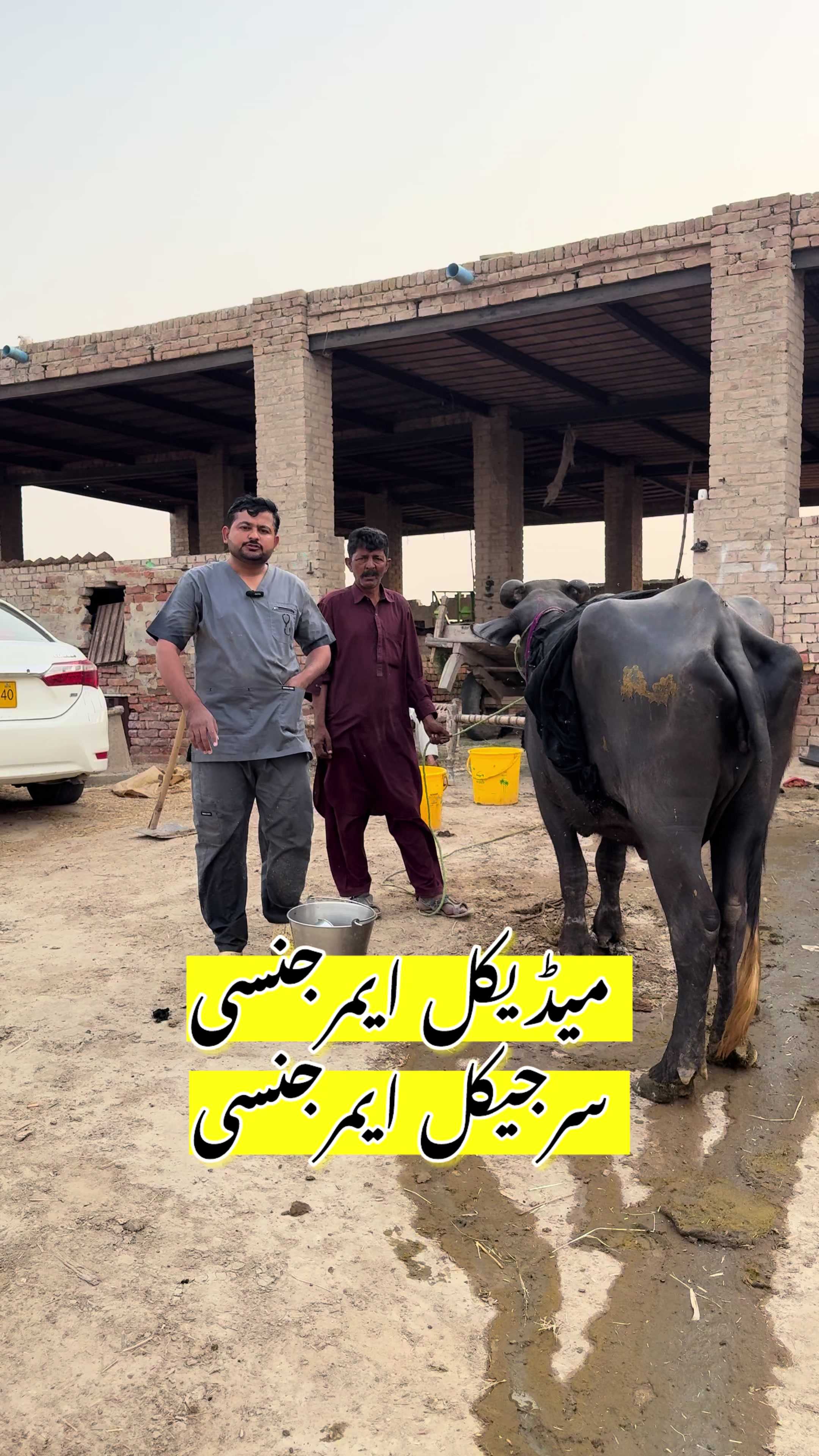@Dr.Mohsin