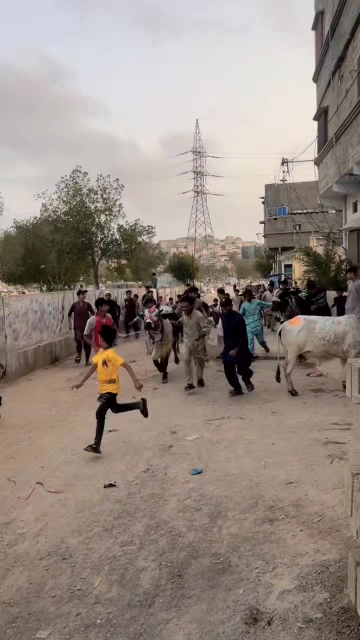 @اسدبادشاہ⚜️