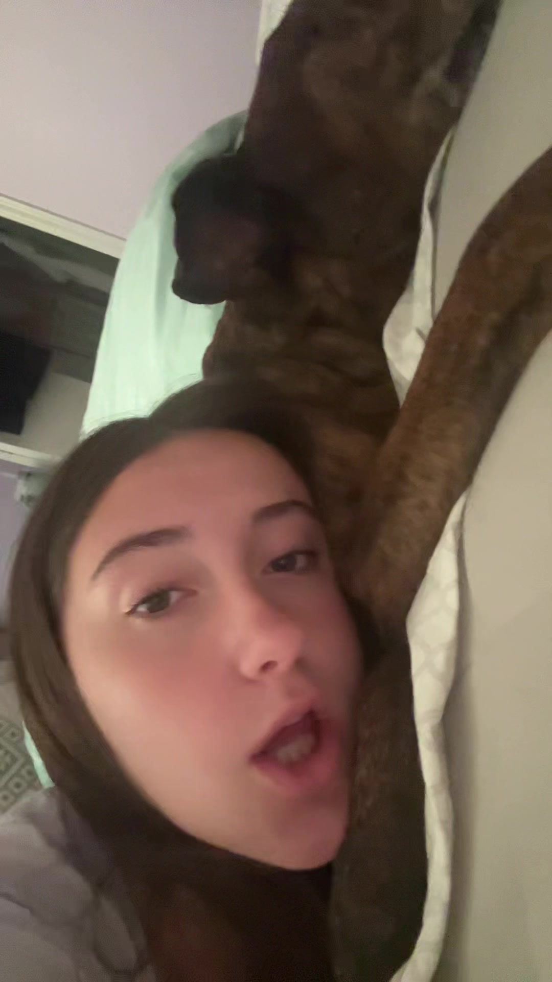 @🪩🦄🧁🥳💝