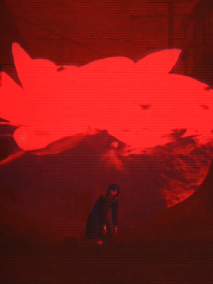 @โ๐ต๐๐๐๐๐๐โ