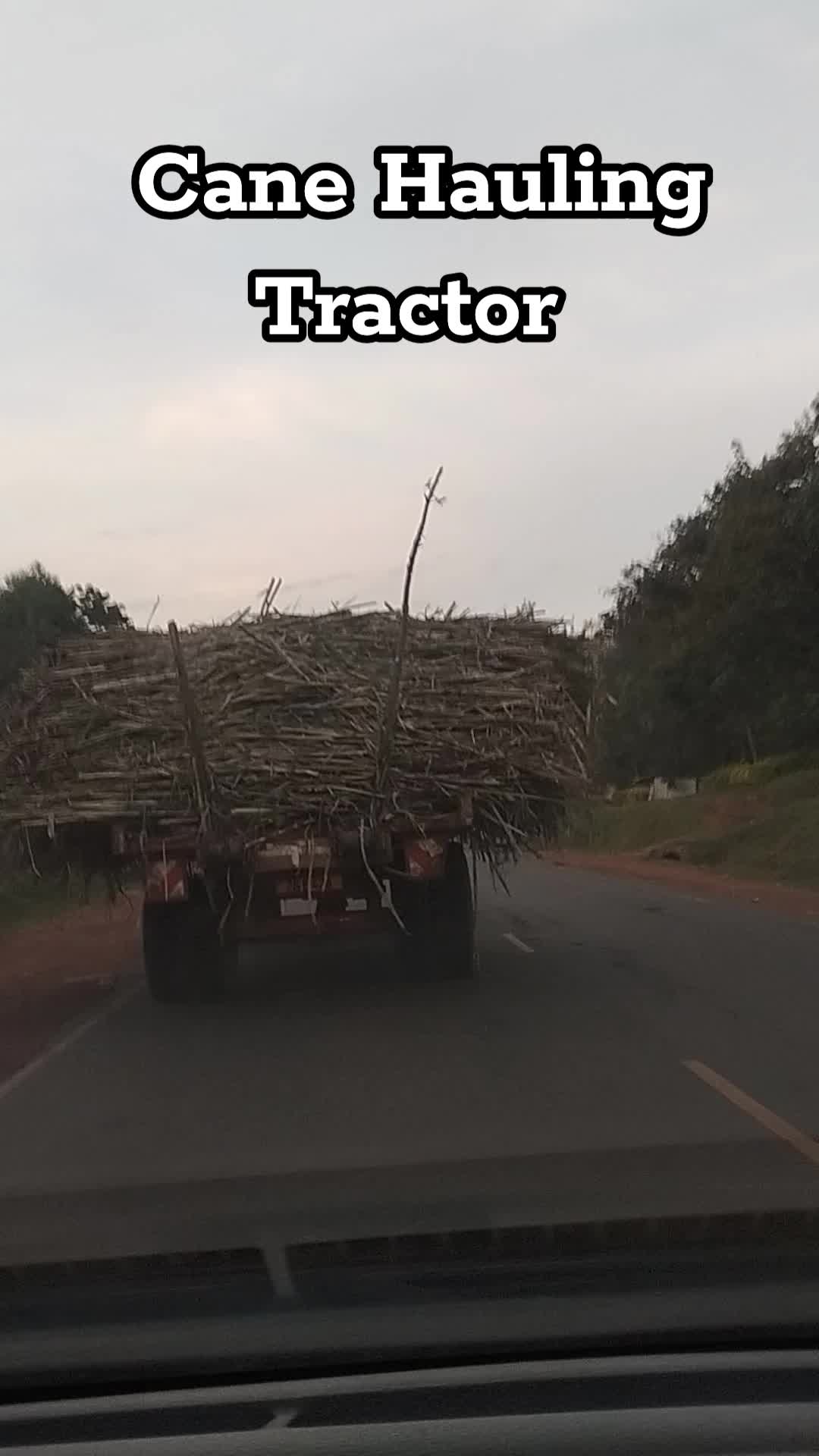 @MitchMitch🇰🇪