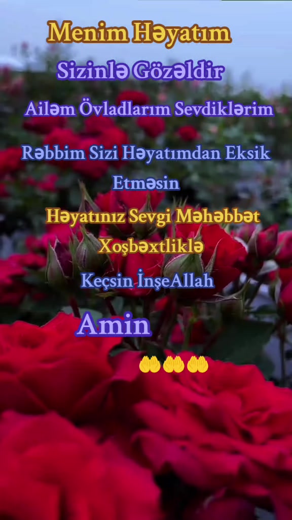 @Ananın ❤️💙❤️❤️🙏