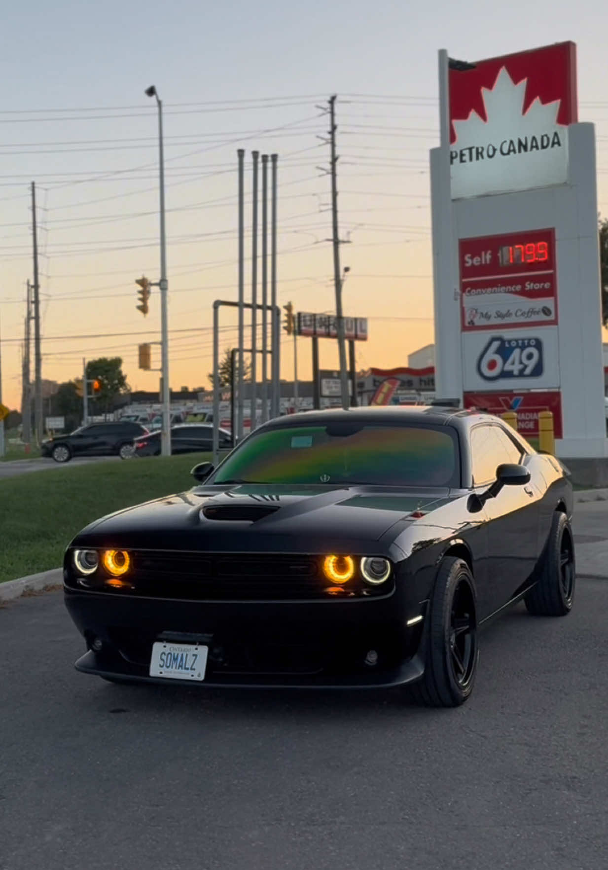 @Mafia_Detailing_Official