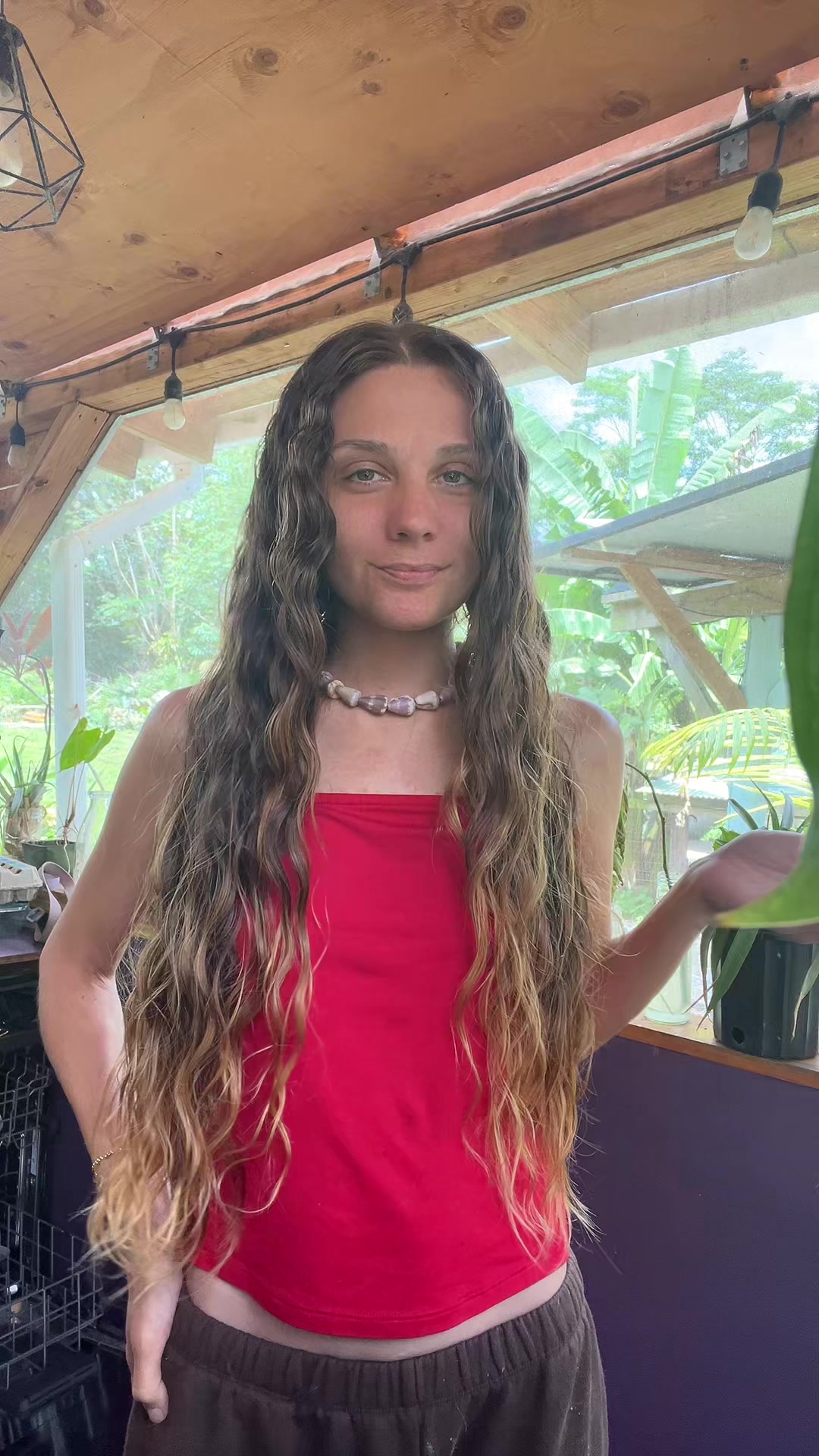 @junglefairyfarm