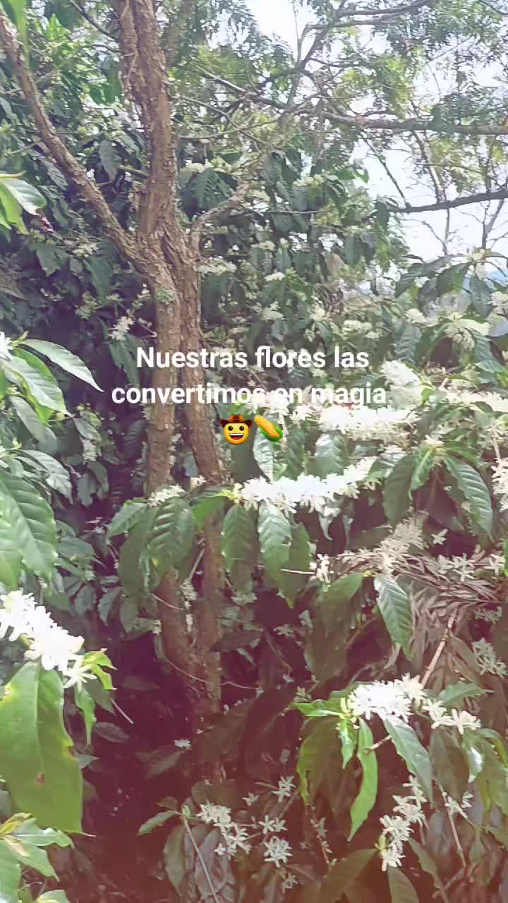 @Henry Lopez ๐ค ๐