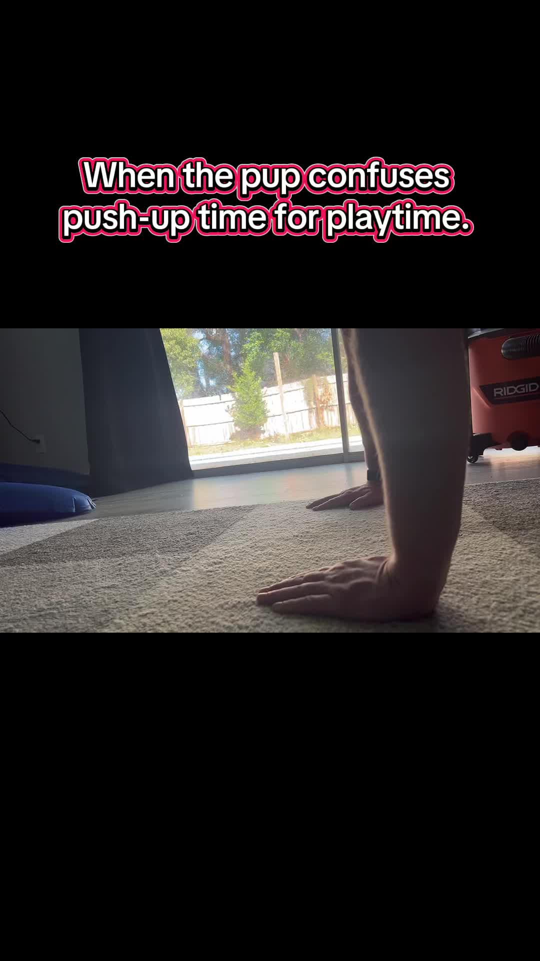 @VIZpire