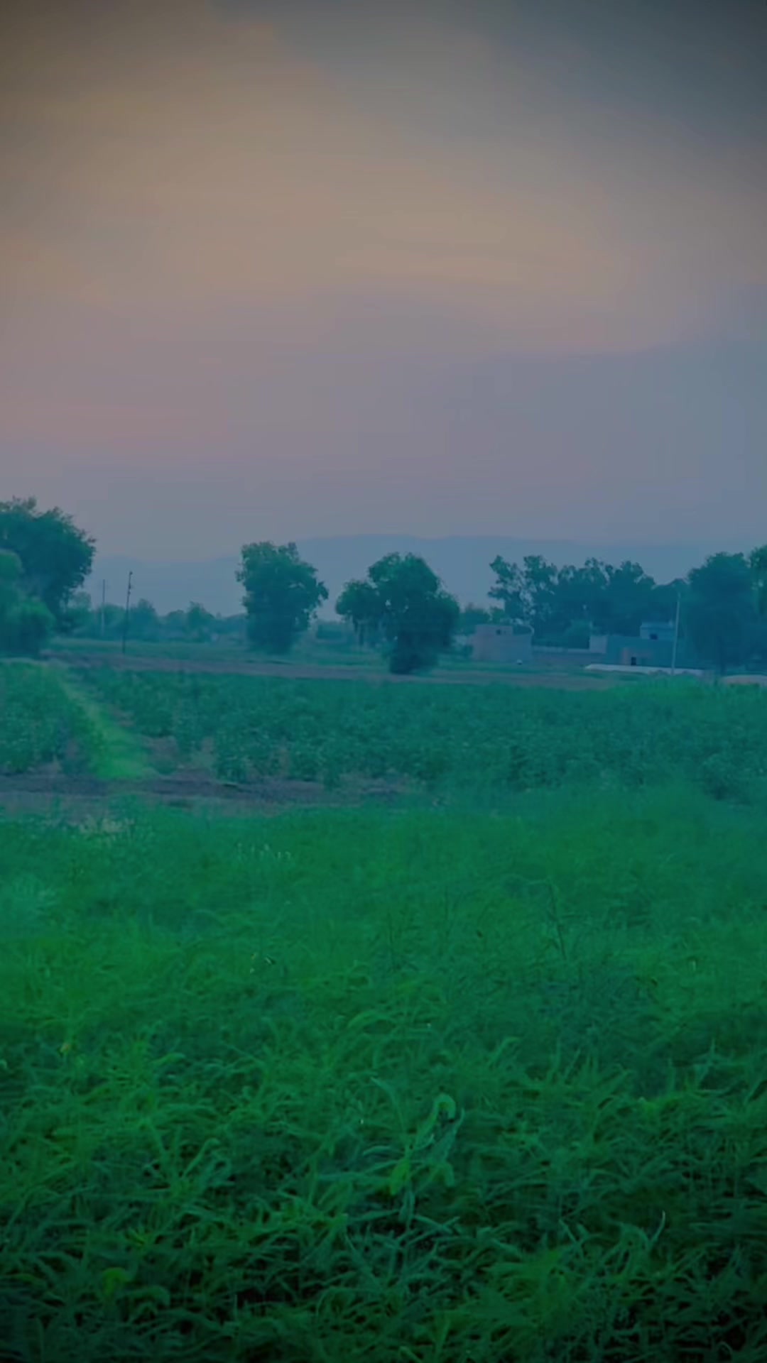 @ملک بلال اصغر کانجو