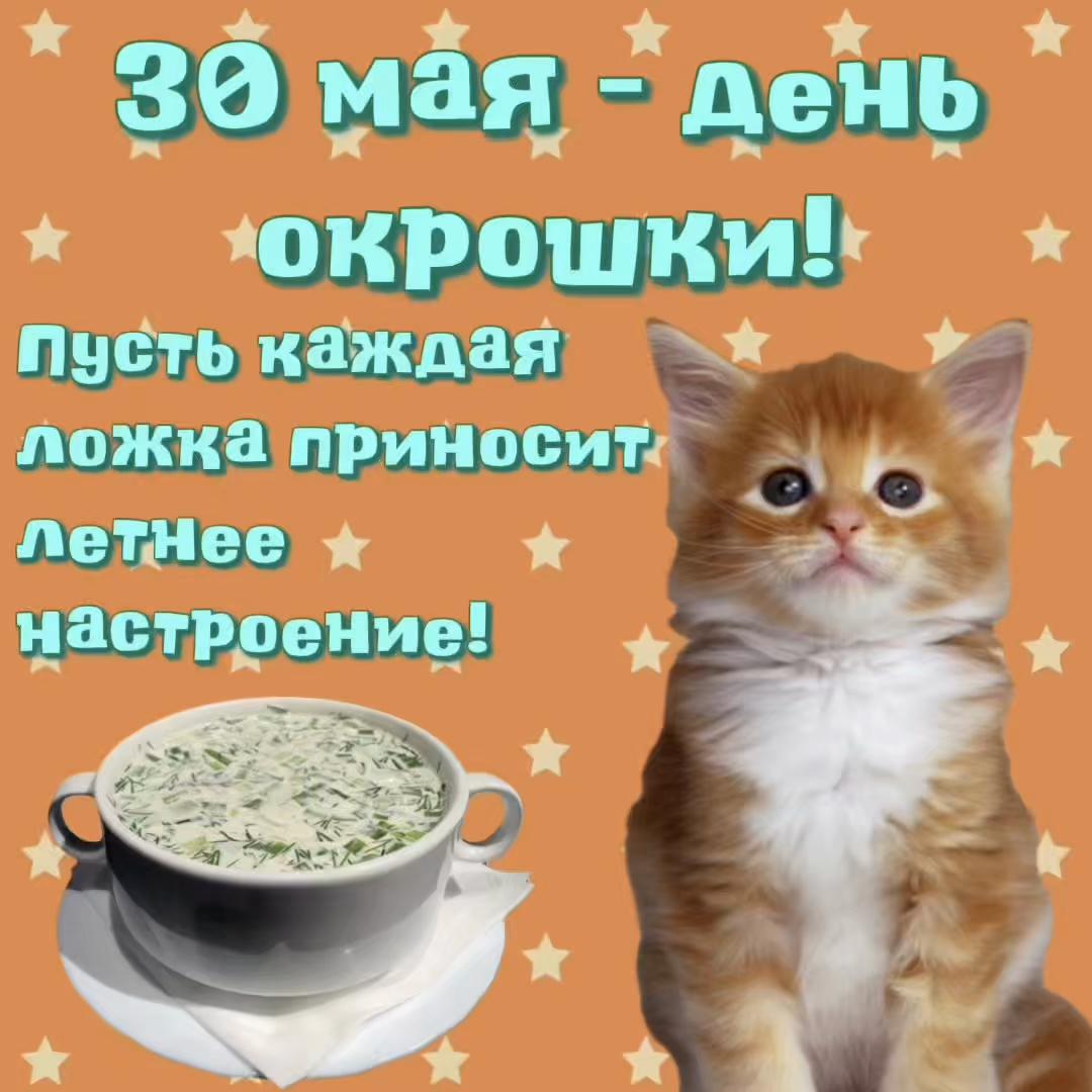 @котики на каждый день