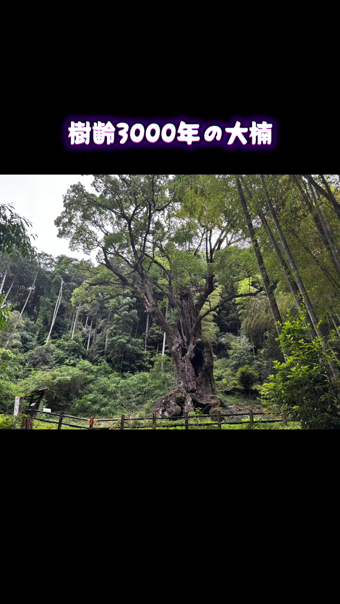 @ぜる