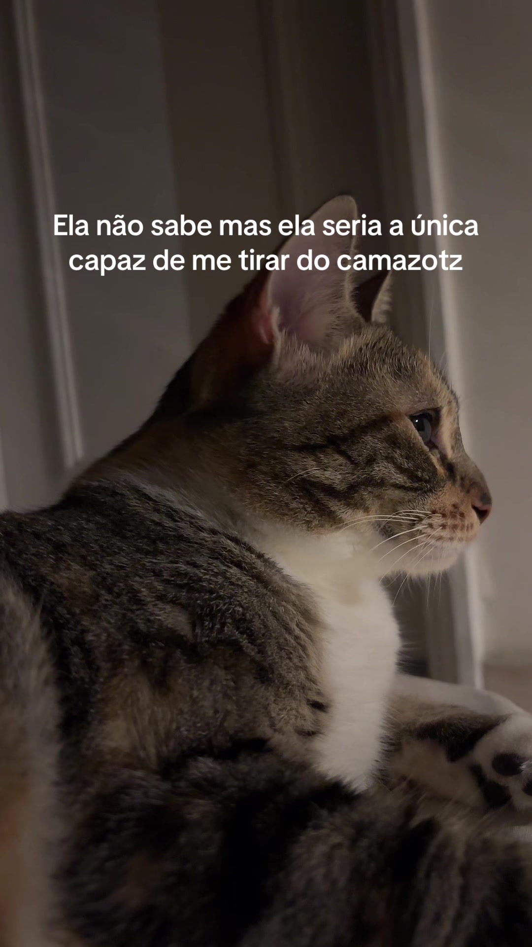 @Lai | Embriologista